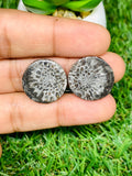Black Fossil Coral Cabochon Pairs • Code B31-B36 • AAA Quality • Natural Fossil coral Cabs