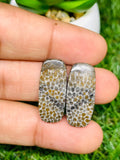 Black Fossil Coral Cabochon Pairs • Code B37-B42  • AAA Quality  • Natural Fossil coral Cabs