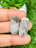 Black Fossil Coral Cabochon Pairs • Code B37-B42 • AAA Quality • Natural Fossil coral Cabs