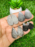 Black Fossil Coral Cabochon Pairs • Code B49-B52 • AAA Quality • Natural Fossil coral Cabs