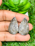 Black Fossil Coral Cabochon Pairs • Code B49-B52 • AAA Quality • Natural Fossil coral Cabs
