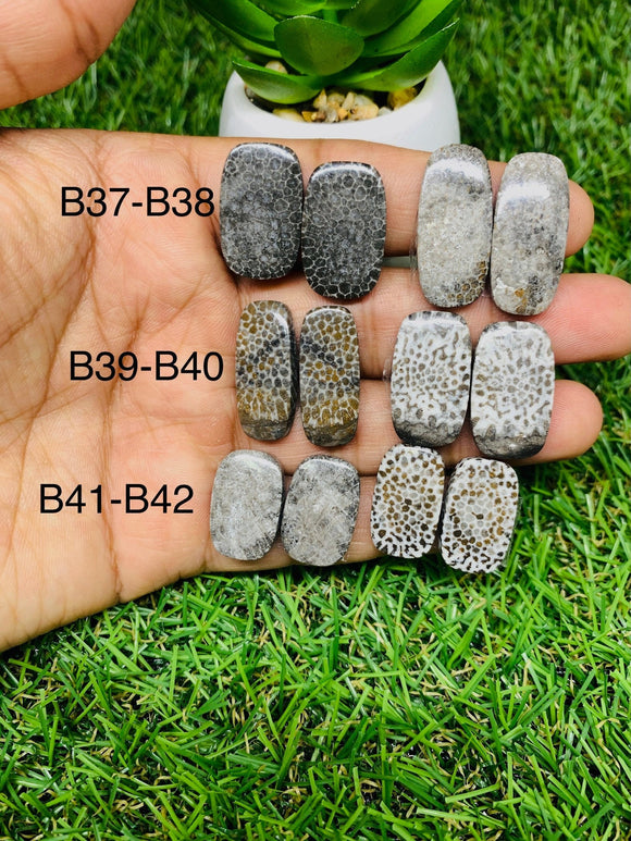 Black Fossil Coral Cabochon Pairs • Code B37-B42  • AAA Quality  • Natural Fossil coral Cabs