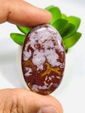 Red Ocean Jasper Cabochon • Code #R23-R26 • AAA Quality • Natural Ocean Jasper Cabs • Jasper Pendant