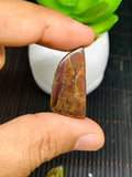 Ammolite Cabochon • Code B1-B4 • AAA Quality • Natural Ammolite Cabochon • Origin Canada