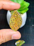 Ammolite Cabochon • Code B1-B4 • AAA Quality • Natural Ammolite Cabochon • Origin Canada