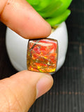 Ammolite Cabochon • Code B17-B20 • AAA Quality • Natural Ammolite Cabochon • Origin Canada