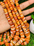 Spiny Shell Oyster Roundel Beads • 8-18 mm Size • 40 cm length • AAA Quality • Natural Shell • Spiny Orange Shell