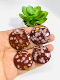 Red Ocean Jasper Cabochon • Code #R31-R34 • AAA Quality • Natural Ocean Jasper Cabs • Jasper Pendant