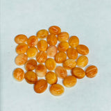 Spiny Shell Cabochon • 8x10 mm Size • Pack of 2 Piece • AAA Quality • Natural Shell Cabs • Spiny Orange Shell