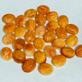 Spiny Shell Cabochon • 8x10 mm Size • Pack of 2 Piece • AAA Quality • Natural Shell Cabs • Spiny Orange Shell