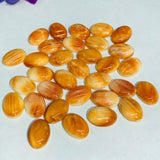 Spiny Oyster Shell Cabochon • 13x18 mm Size • Pack of 1 Piece • AAA Quality • Natural Shell Cabs • Spiny Orange Shell