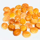 Spiny Shell Cabochon • 8x10 mm Size • Pack of 2 Piece • AAA Quality • Natural Shell Cabs • Spiny Orange Shell