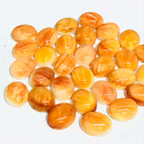 Spiny Shell Cabochon • 8x10 mm Size • Pack of 2 Piece • AAA Quality • Natural Shell Cabs • Spiny Orange Shell