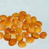 Spiny Shell Cabochon • 8x10 mm Size • Pack of 2 Piece • AAA Quality • Natural Shell Cabs • Spiny Orange Shell