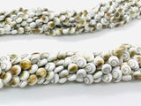 Shiva Shell Round Coin Beads - 6 / 8 /10/12 mm Size • AAA Quality• Length 40 cm • Natural Single Shiva Shell • One Sided Shiva Shell Beads