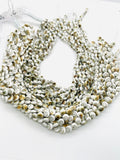 Shiva Shell Round Coin Beads - 6 / 8 /10/12 mm Size • AAA Quality• Length 40 cm • Natural Single Shiva Shell • One Sided Shiva Shell Beads