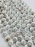 Doublet Shiva Shell Bead • 10 mm Size • AAA Quality• Length 40 cm •  Natural Single Shiva Shell Beads  • Both Side Shiva Shell Beads