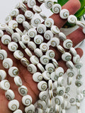 Doublet Shiva Shell Bead • 10 mm Size • AAA Quality• Length 40 cm •  Natural Single Shiva Shell Beads  • Both Side Shiva Shell Beads