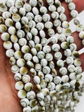 Shiva Shell Round Coin Beads - 6 / 8 /10/12 mm Size • AAA Quality• Length 40 cm •  Natural Single Shiva Shell • One Sided Shiva Shell Beads