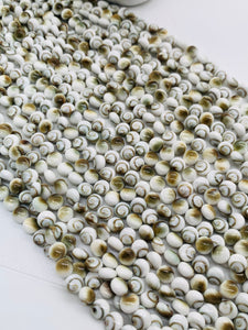 Shiva Shell Round Coin Beads - 6 / 8 /10/12 mm Size • AAA Quality• Length 40 cm •  Natural Single Shiva Shell • One Sided Shiva Shell Beads