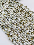 Shiva Shell Round Coin Beads - 6 / 8 /10/12 mm Size • AAA Quality• Length 40 cm • Natural Single Shiva Shell • One Sided Shiva Shell Beads
