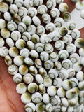 Shiva Shell Round Coin Beads - 6 / 8 /10/12 mm Size • AAA Quality• Length 40 cm •  Natural Single Shiva Shell • One Sided Shiva Shell Beads