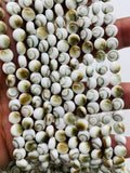 Shiva Shell Round Coin Beads - 6 / 8 /10/12 mm Size • AAA Quality• Length 40 cm • Natural Single Shiva Shell • One Sided Shiva Shell Beads