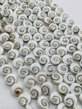 Shiva Shell Round Coin Beads - 6 / 8 mm Size • AAA Quality• Length 40 cm •  Natural Single Shiva Shell Beads  • One Sided Shiva Shell Beads