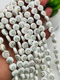 Shiva Shell Bead • 10 mm Size • AAA Quality• Length 40 cm • Natural Single Shiva Shell Beads • Both Side Shiva Shell Beads