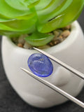 Tanzanite  Cabochon - Code # D27 to D34 - AAA Quality - Natural Tanzanite Cabochon - Tanzanite Loose Stone - Tanzanite Cabs