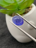 Tanzanite Cabochon - Code # D43 to D50 - AAA Quality - Natural Tanzanite Cabochon - Tanzanite Loose Stone - Tanzanite Cabs
