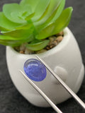 Tanzanite Cabochon - Code # D43 to D50 - AAA Quality - Natural Tanzanite Cabochon - Tanzanite Loose Stone - Tanzanite Cabs