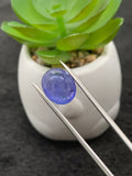 Tanzanite  Cabochon - Code # D51 to D58 - AAA Quality - Natural Tanzanite Cabochon - Tanzanite Loose Stone - Tanzanite Cabs