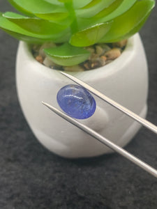 Tanzanite Cabochon - Code # D83 to D90 - AAA Quality - Natural Tanzanite Cabochon - Tanzanite Loose Stone - Tanzanite Cabs