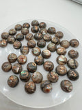 Abalone copper 10MM Shell Cabs, Pack of 5 pieces, Round cabochon for jewelry making,