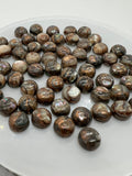 Abalone copper 8MM Shell Cabs, Pack of 8 pieces, Round cabochon for jewelry making,