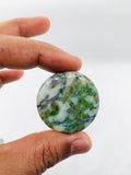 Amphibolite Cabochon • Code A31- A36 • AAA Quality • Natural Amphibolite Cabs • Amphibolite Cabochon