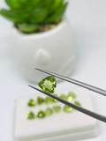 6MM Peridot Trillion faceted Pack of 5 PC - Natural Peridot Trillion Cut - Peridot loose Stones .Peridot faceted cabs