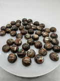 Abalone copper 10MM Shell Cabs, Pack of 5 pieces, Round cabochon for jewelry making,