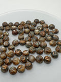 Abalone copper 10MM Shell Cabs, Pack of 6 pieces, Round cabochon for jewelry making,