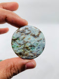 Amphibolite Cabochon • Code A37- A42 • AAA Quality • Natural Amphibolite Cabs • Amphibolite Cabochon