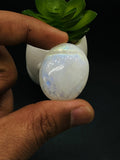 Moonstone Cabochon Code E1- E6 - AAA Quality - Blue Flash Natural Rainbow Moonstone Cabochon - Origin India