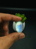 Moonstone Cabochon Code E17- E24 - AAA Quality - Blue Flash Natural Rainbow Moonstone Cabochon - Origin India