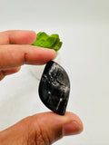 Hypersthene Cabochon Code B9- B16 - AAA Quality - Natural Hypersthene Cabochon