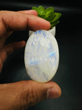 Moonstone Cabochon Code E63- E66 - AAA Quality - Blue Flash Natural Rainbow Moonstone Cabochon - Origin India