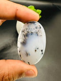 Dendritic Opal Cabochon • Code D9- D12 • AAA Quality • Natural Dendritic Opal Cabs • Dendritic Opal Pendant • Origin Turkey