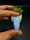 Moonstone Cabochon Code E7- E12  - AAA Quality - Blue Flash Natural Rainbow Moonstone Cabochon - Origin India