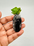 Hypersthene Cabochon Code B21- B24 - AAA Quality - Natural Hypersthene Cabochon