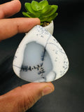 Dendritic Opal Cabochon • Code D15- D16 • AAA Quality • Natural Dendritic Opal Cabs • Dendritic Opal Pendant • Origin Turkey