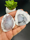 Dendritic Opal Cabochon • Code D15- D16 • AAA Quality • Natural Dendritic Opal Cabs • Dendritic Opal Pendant • Origin Turkey
